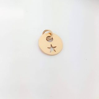 14 karaat rosé gouden hanger met ster #20769
