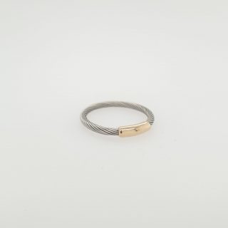 Staal met goud kabelring. #1359