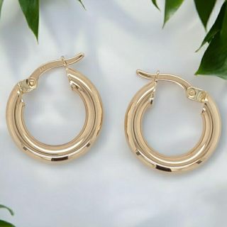 Gouden oorsieraden, oorring / creool. # 28143
