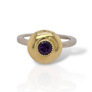 Bicolor gouden ring met Amethist #16881
