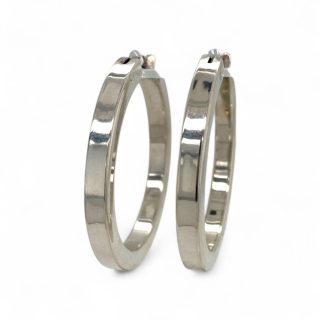 Grote zilveren oorringen #29250